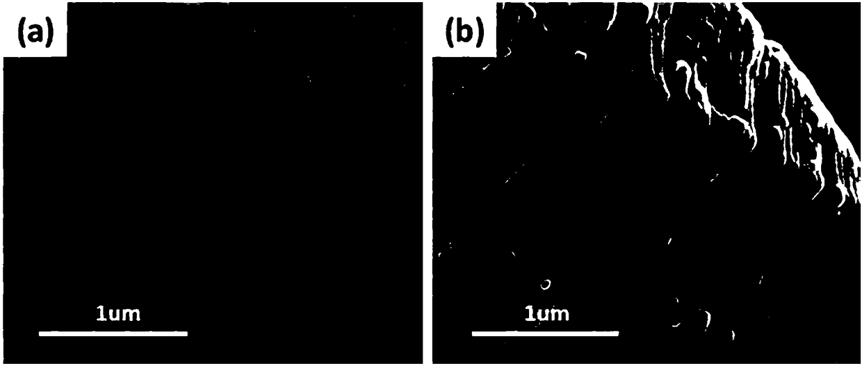 A kind of polydopamine as the transition layer titanium carbide in-situ growth cnts three-dimensional composite material and its preparation method