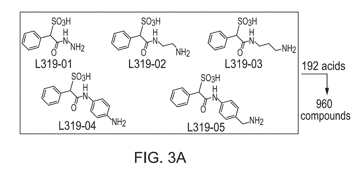 Protein tyrosine phosphatases or shp2 inhibitors and uses thereof