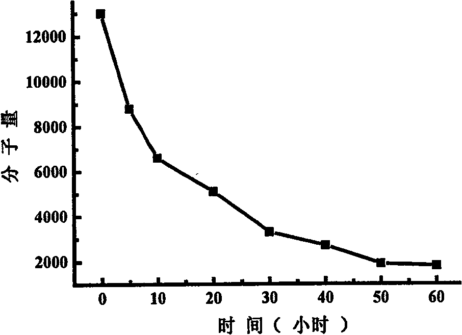 Biodegradable crosslinked polyethylenimine and its uses