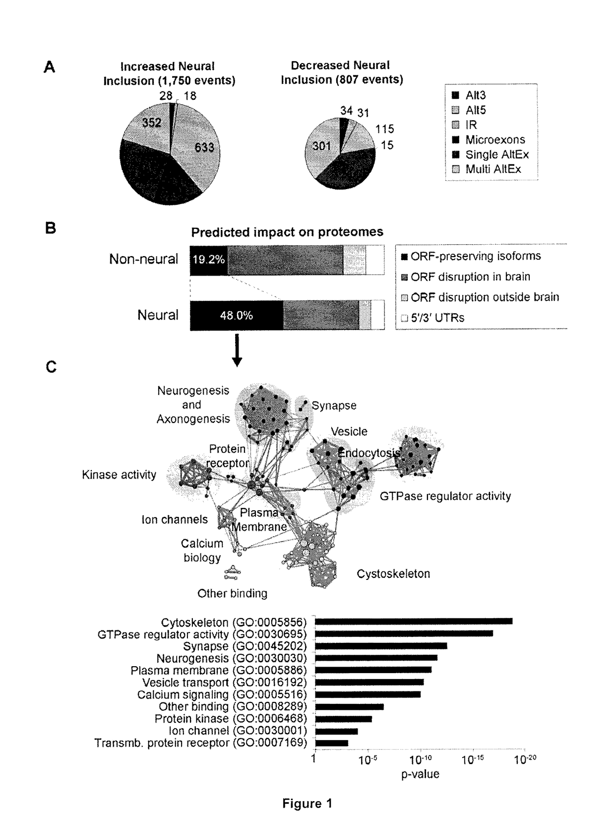 Modulation and detection of a neuronal alternative splicing regulatory network for treatment and diagnosis of neurological disorders