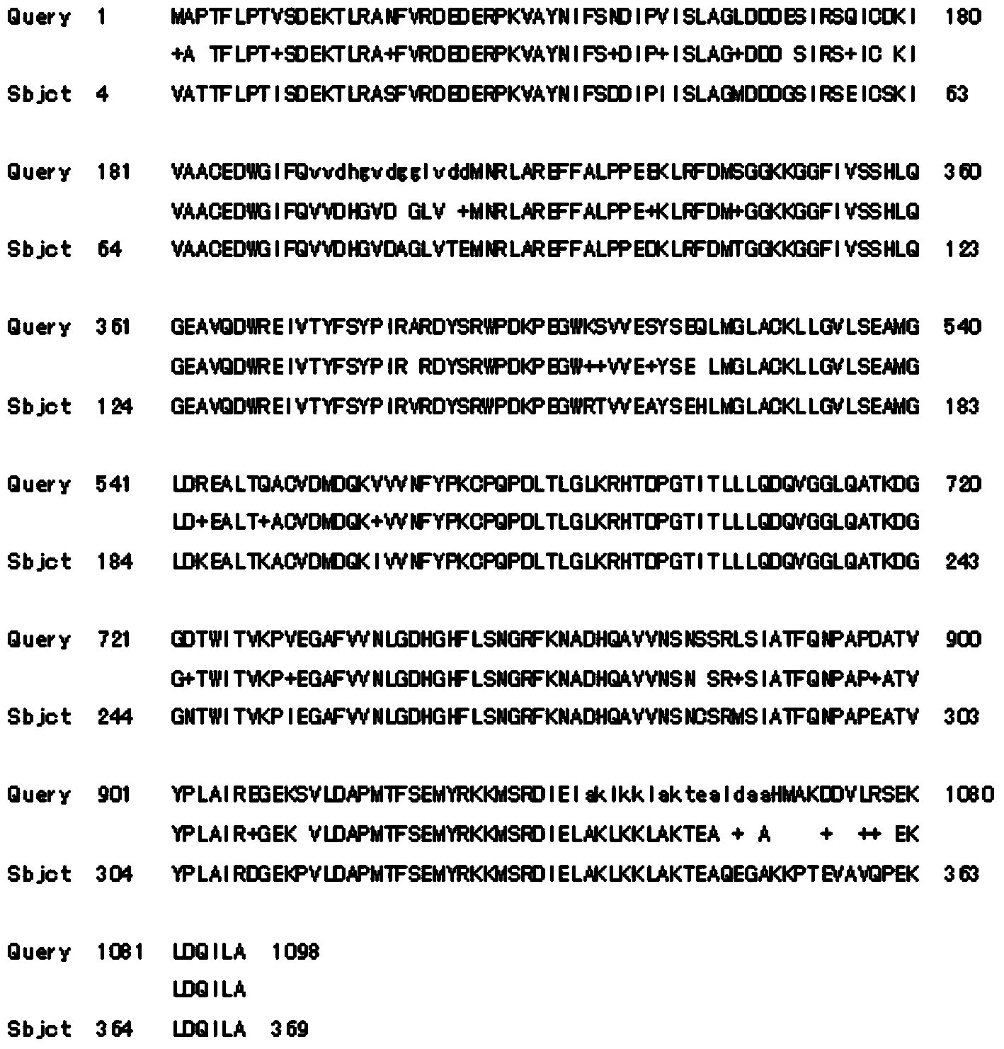 Tulip flavanone-3-hydroxylase TfF3H protein and encoding gene thereof