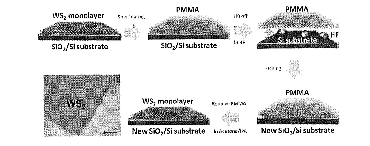 Controlled synthesis and transfer of large area heterostructures made of bilayer and multilayer transition metal dichalocogenides