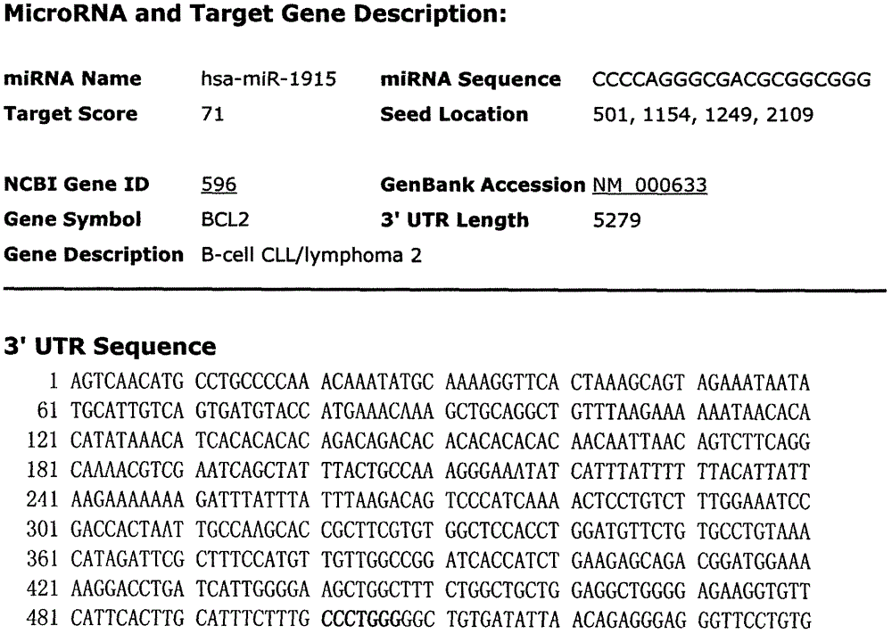 Dual-luciferase reporter gene plasmid of 3-UTR region of BCL2 gene as well as construction method and application thereof
