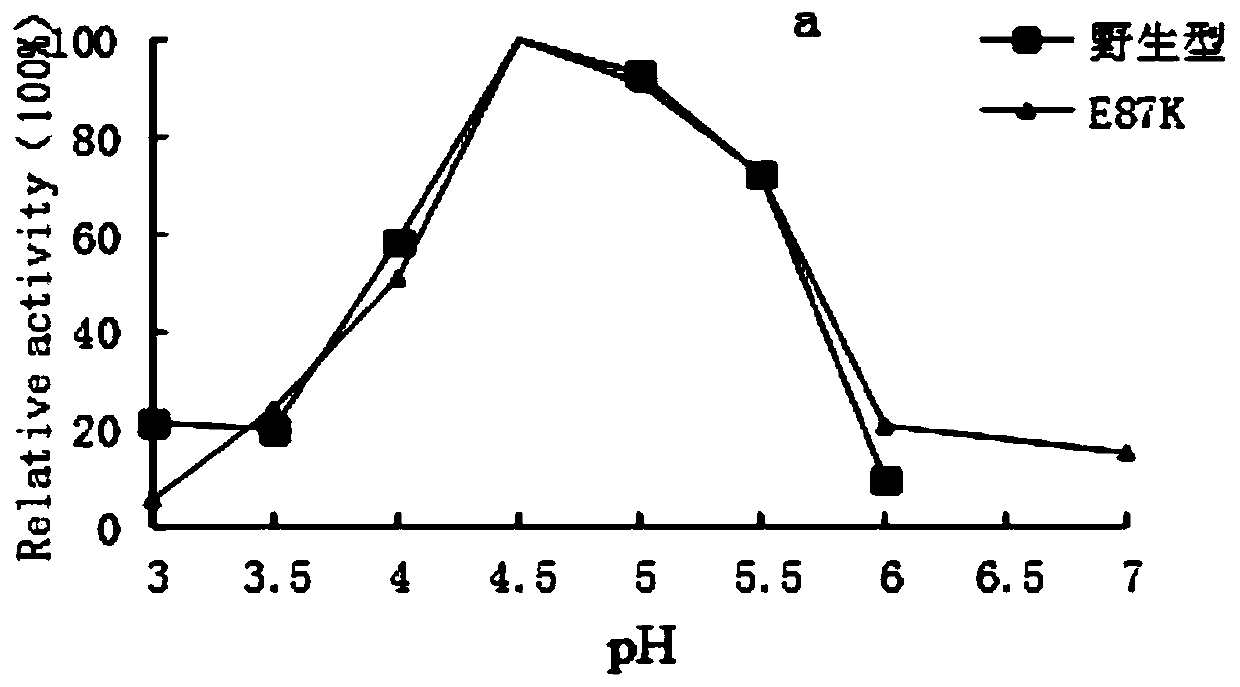 A kind of amylase mutant preparation method and its application