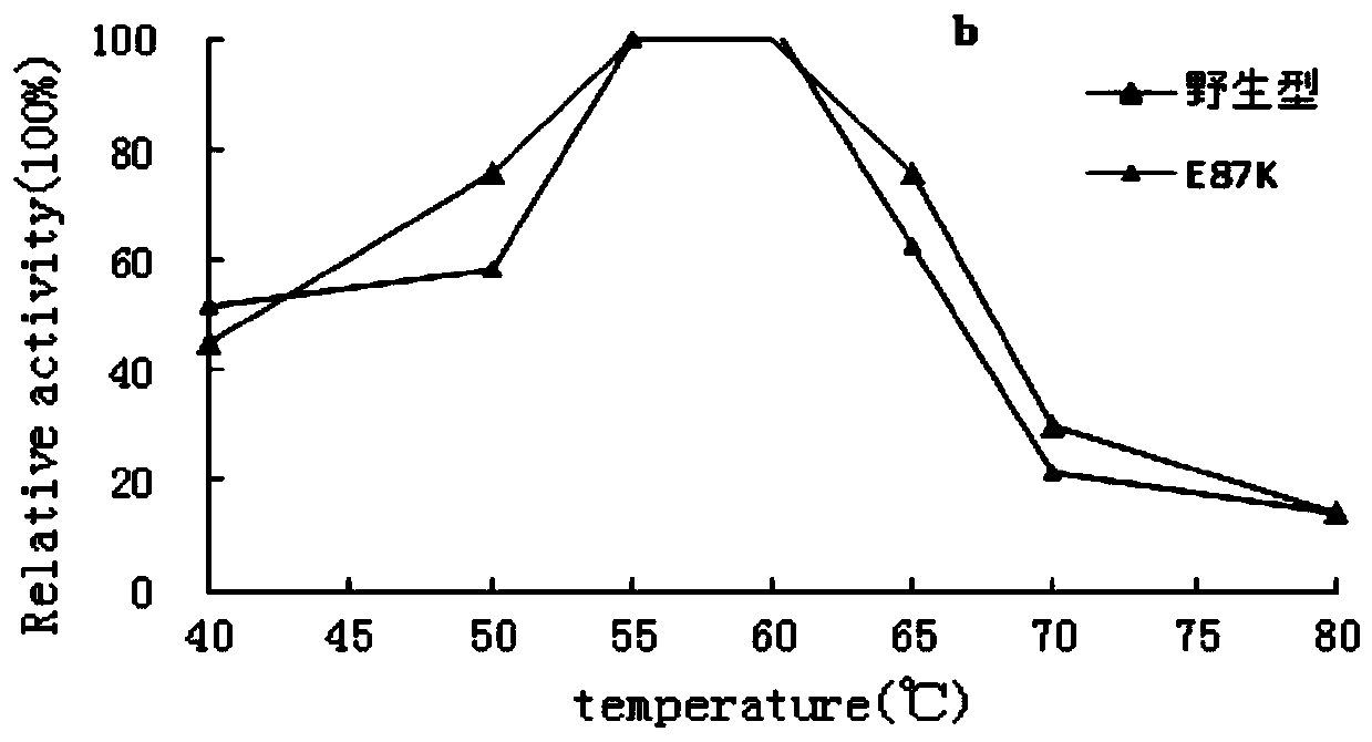 A kind of amylase mutant preparation method and its application