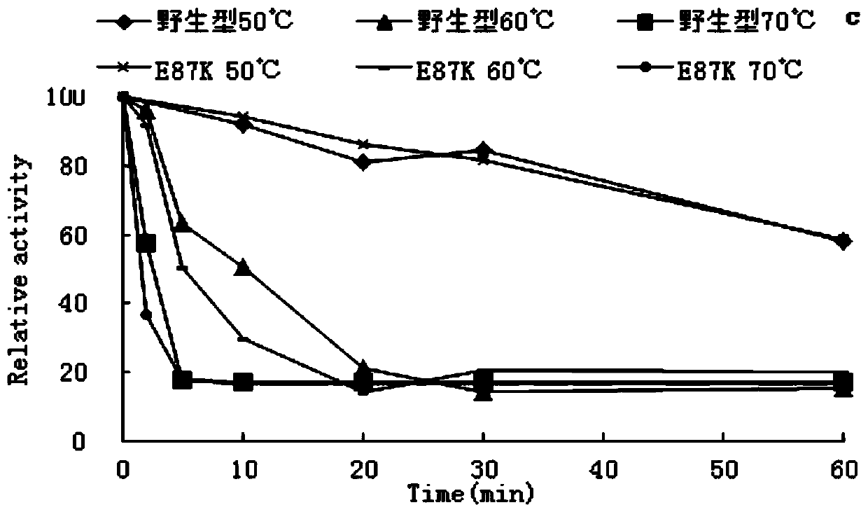 A kind of amylase mutant preparation method and its application