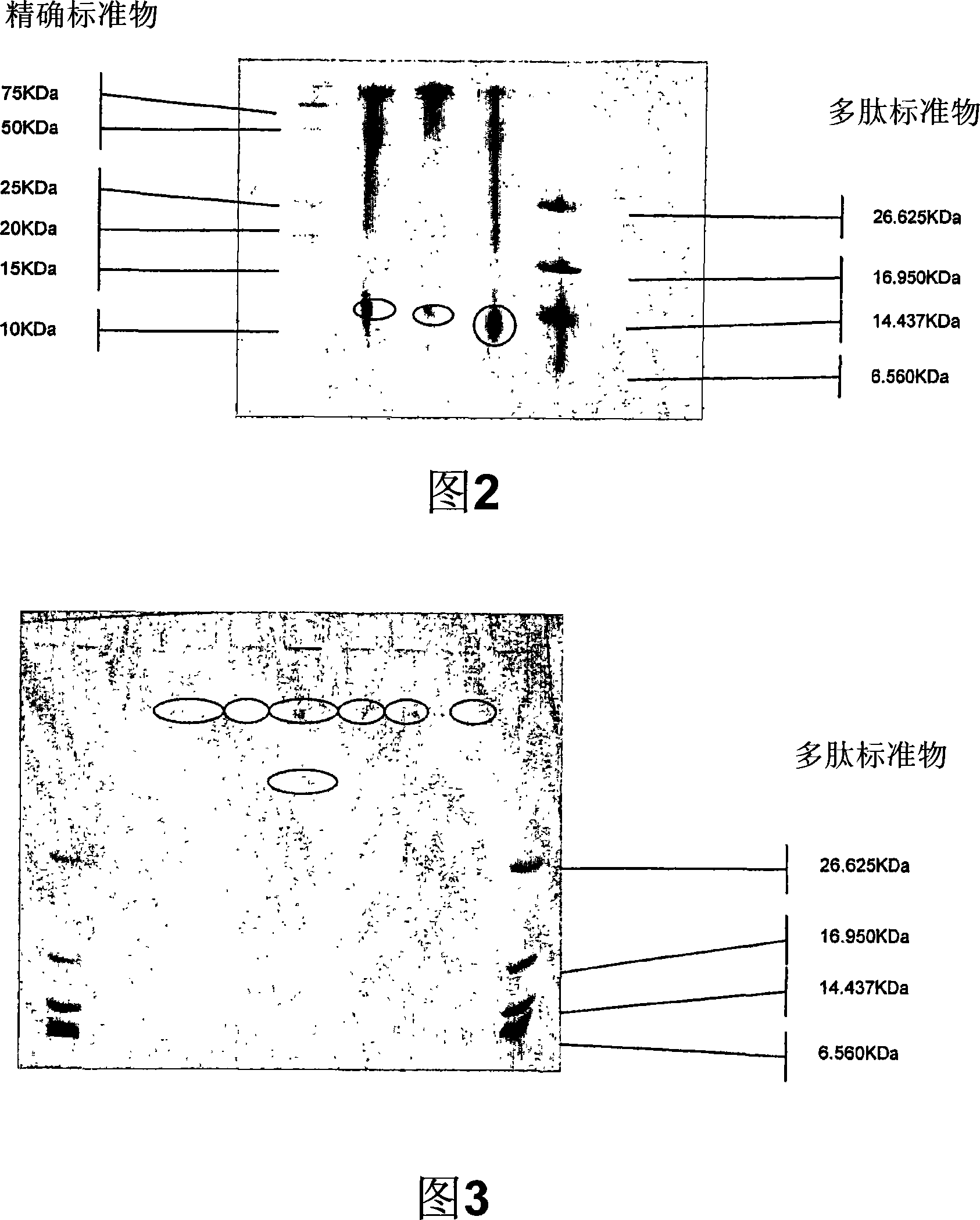Method for separating keratinous proteins from materials
