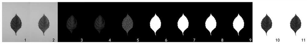 Leaf RGB image rapid cutting and multiple denoising method