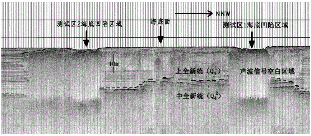 Seabed shallow-layer gas detection method based on MIP-CPT technology