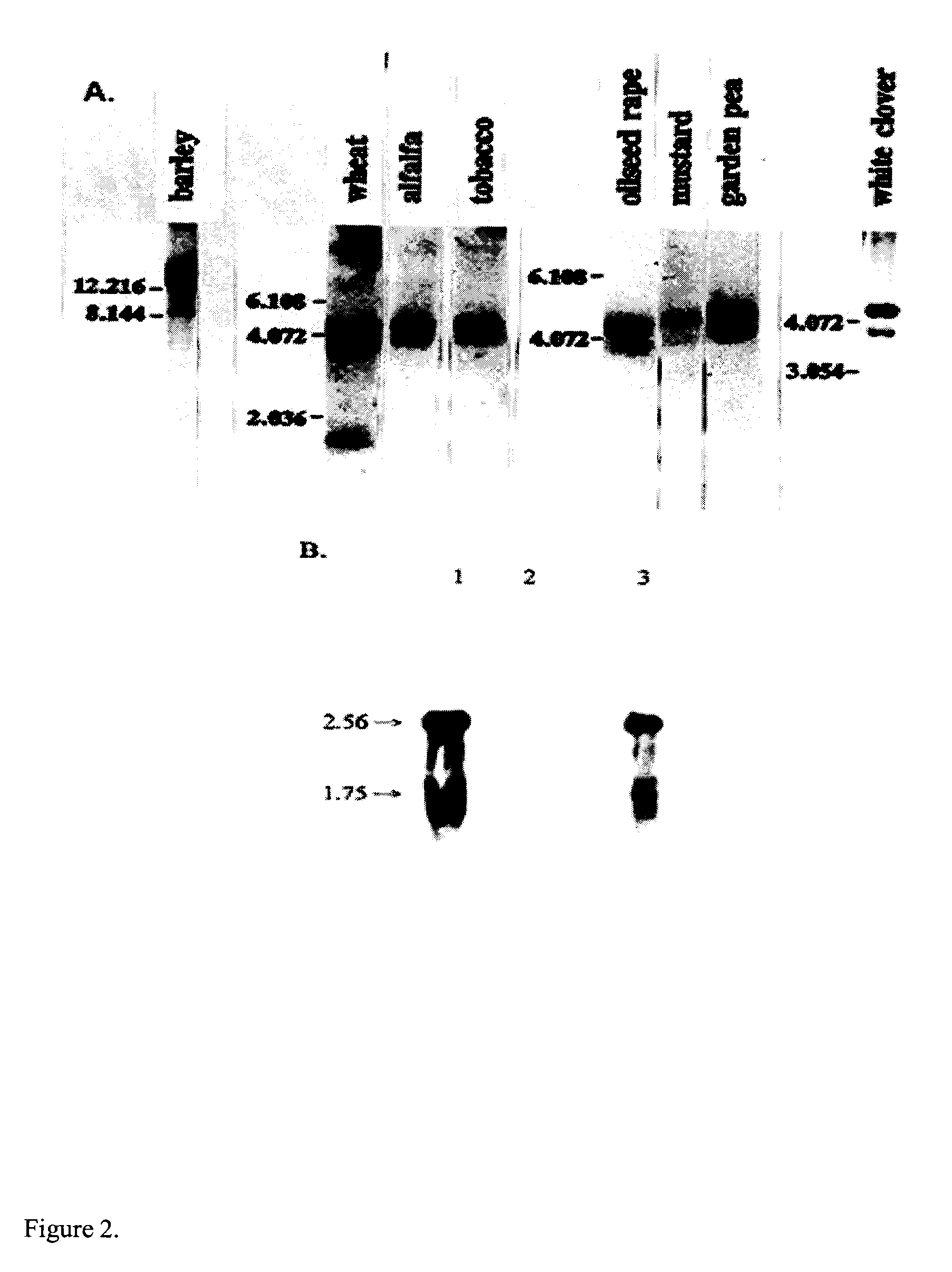 Plant proteins having an abscisic acid binding site and methods of use