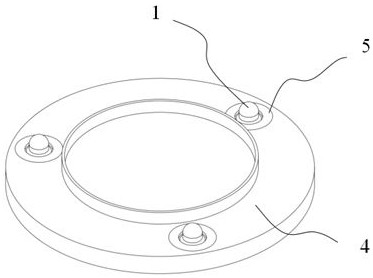 Wafer position detection device