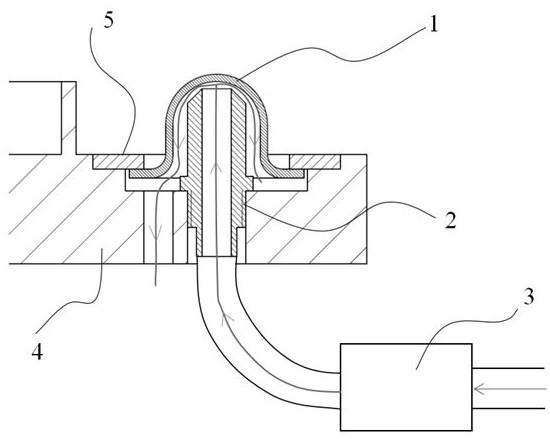 Wafer position detection device