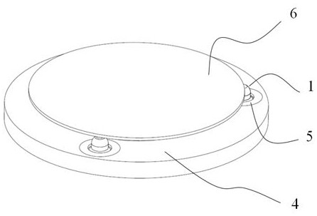 Wafer position detection device