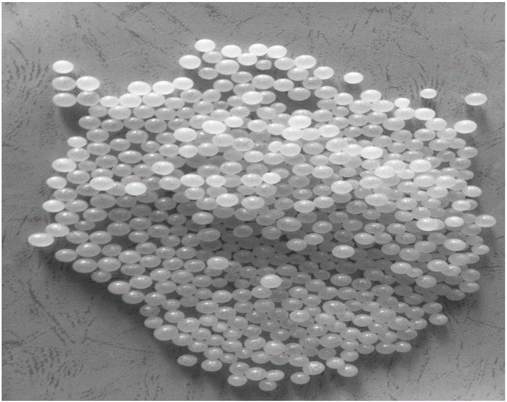 Nano-chitosan composite material and nano-coated particle products