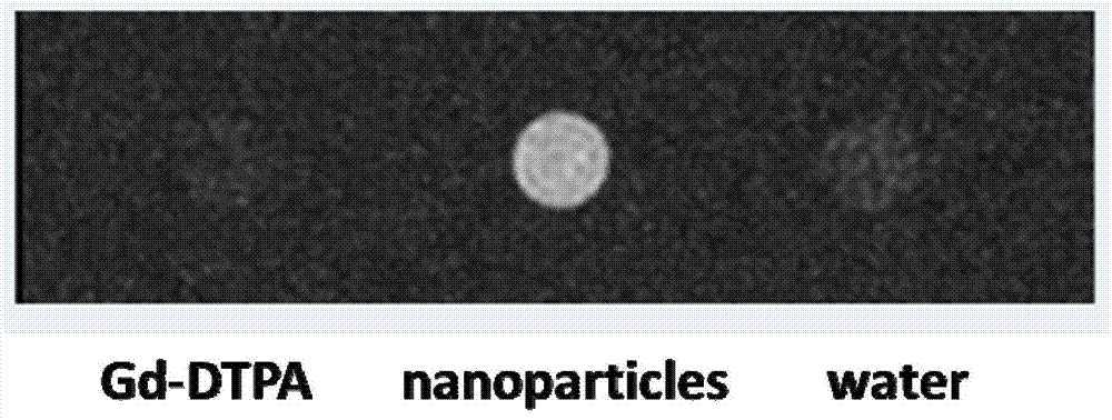 Amphiphilic block copolymer and nanoparticles comprising the same, preparation method and application thereof