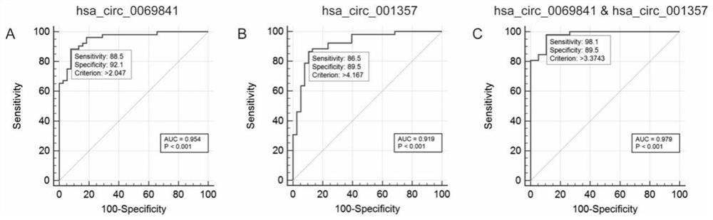 CircRNA composition marker for identifying non-small cell lung cancer (NSCLC) subtypes and application of circRNA composition marker