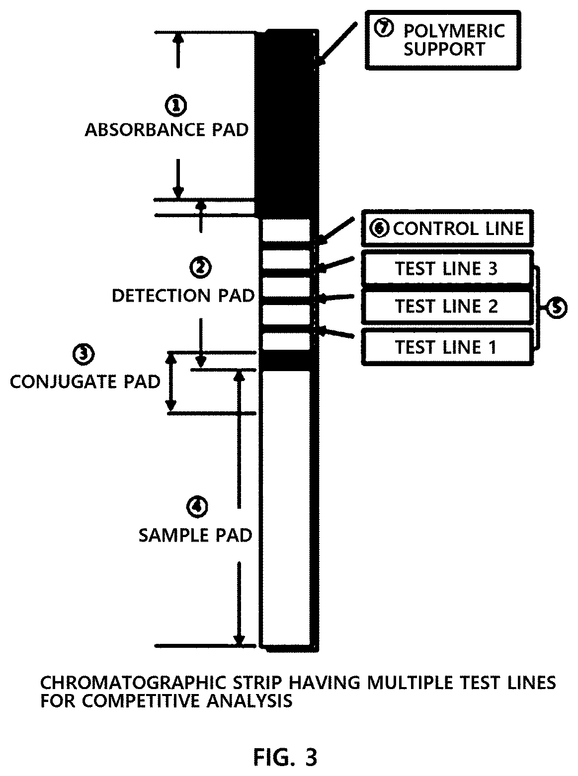 Chromatographic strip comprising multiple test lines, diagnostic kit comprising same, and qualitative, semi-quantitative or quantitative analysis method comprising multiple competitive reaction measurement steps