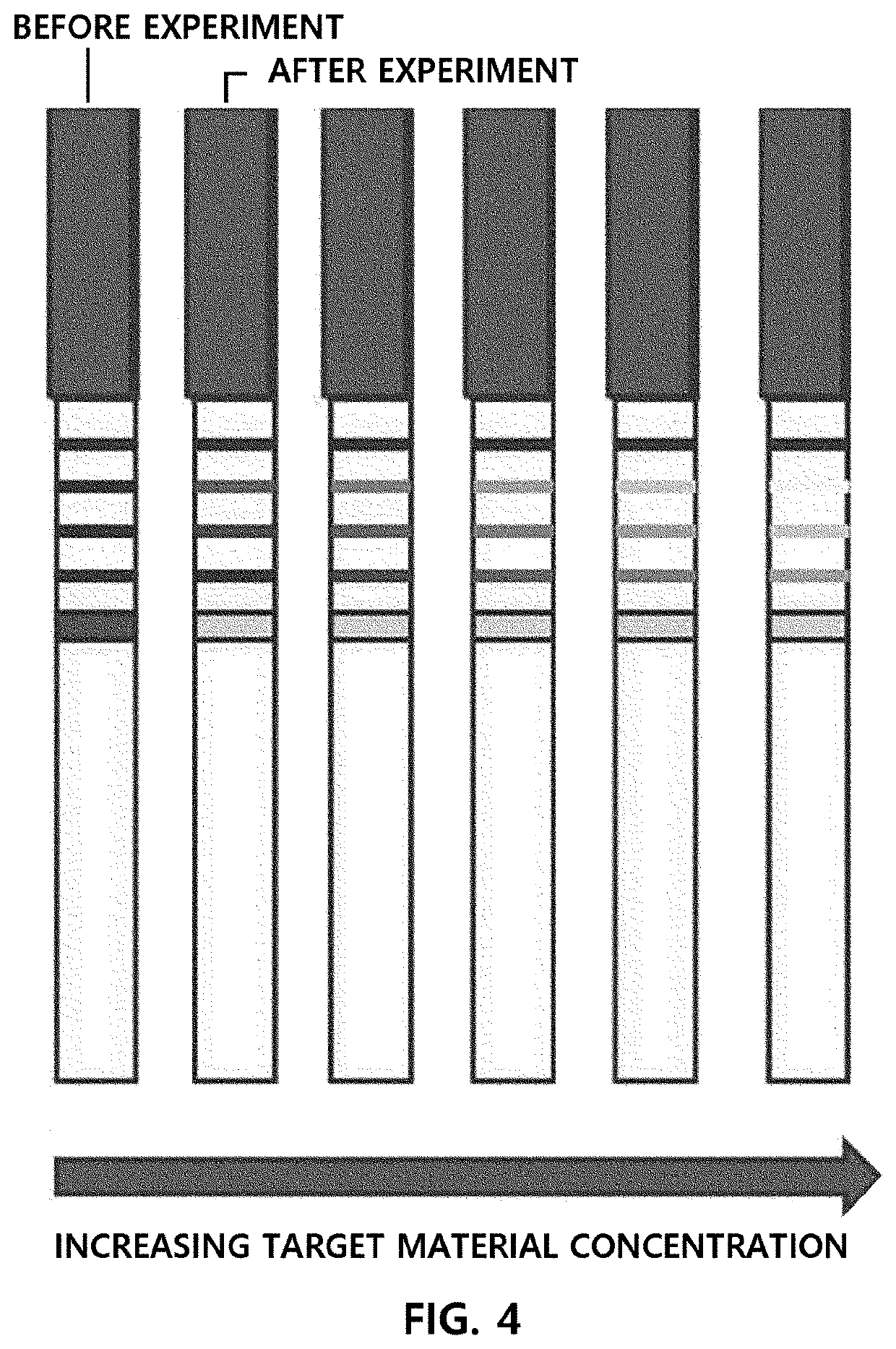 Chromatographic strip comprising multiple test lines, diagnostic kit comprising same, and qualitative, semi-quantitative or quantitative analysis method comprising multiple competitive reaction measurement steps