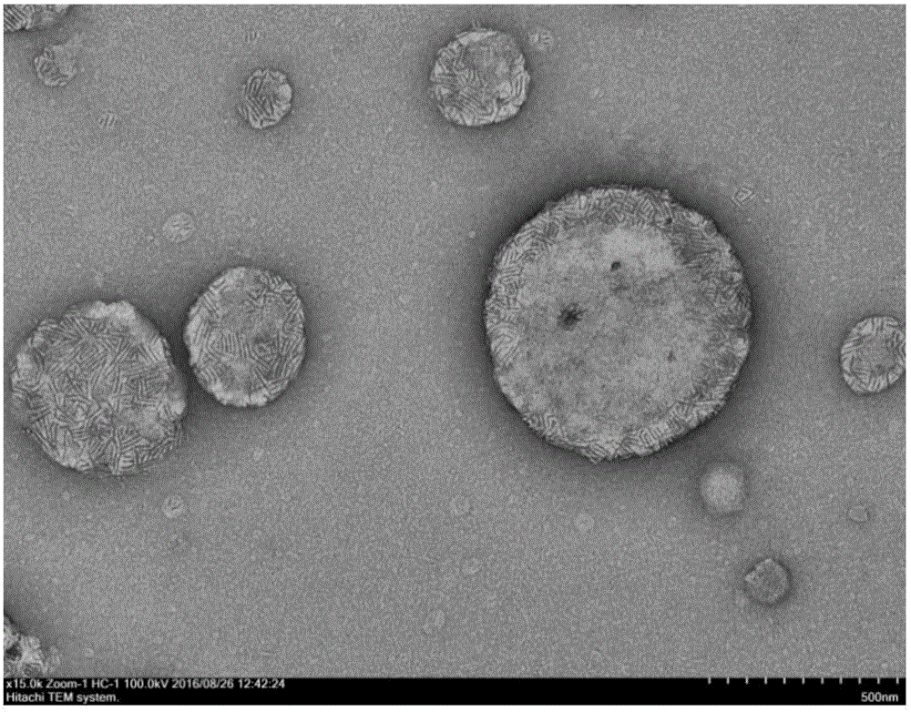 Method for preparing tobacco mosaic virus capsid protein capsule