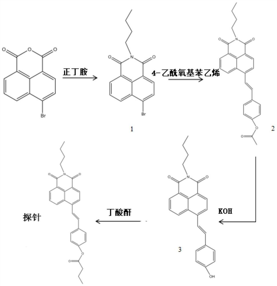 A fluorescent probe that can be used to detect cutinase on the surface of plant leaves and its preparation method