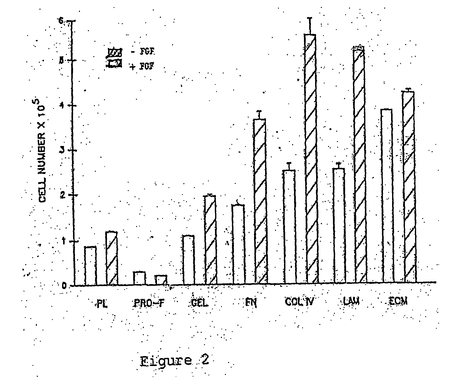 Methods and compositions for growing corneal endothelial and related cells on biopolymers and creation of artifical corneal transplants