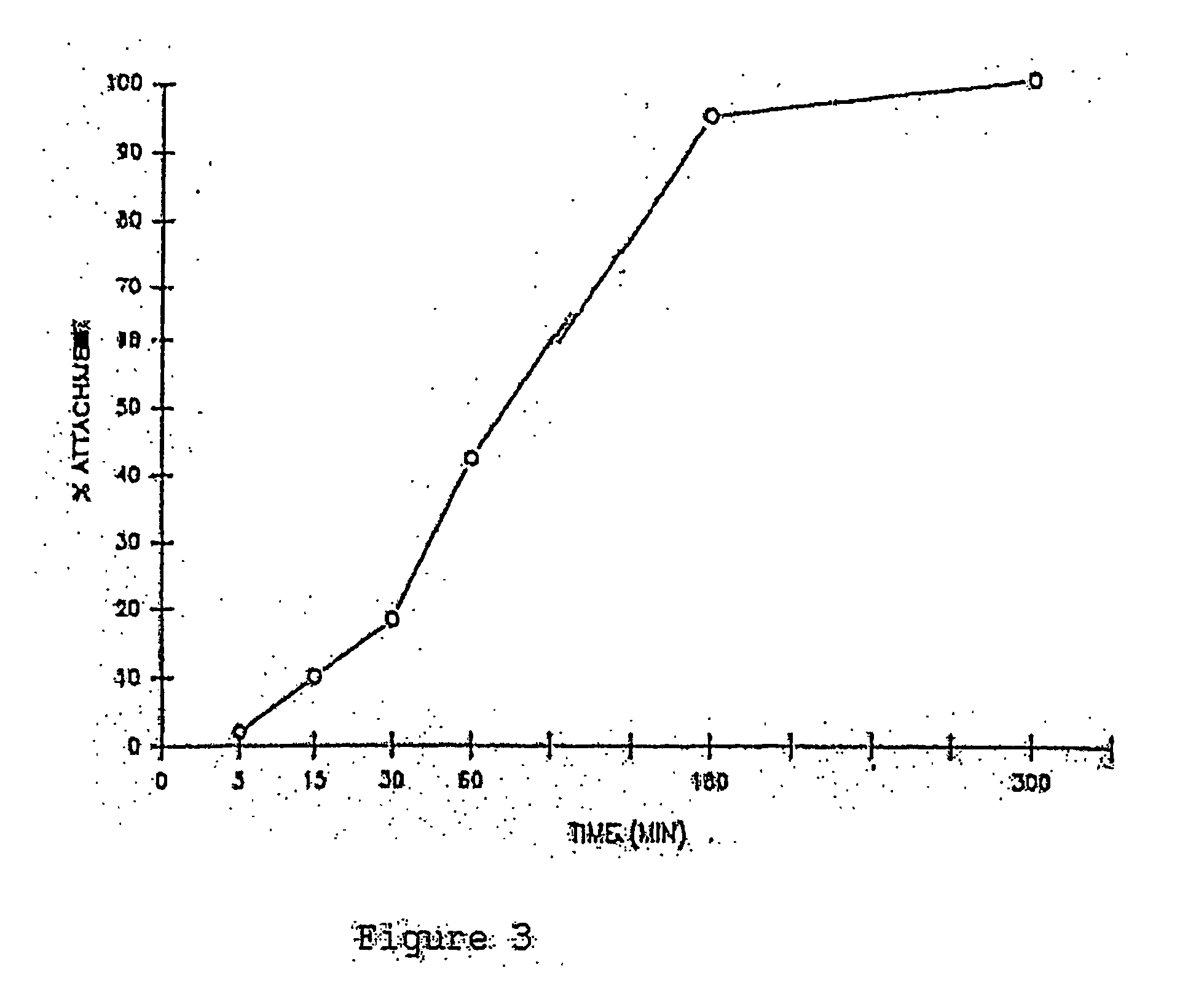 Methods and compositions for growing corneal endothelial and related cells on biopolymers and creation of artifical corneal transplants