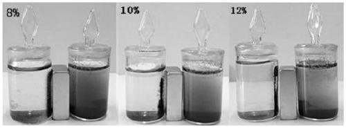 Simple and convenient method of preparing magnetic bagasse based active carbon by one step