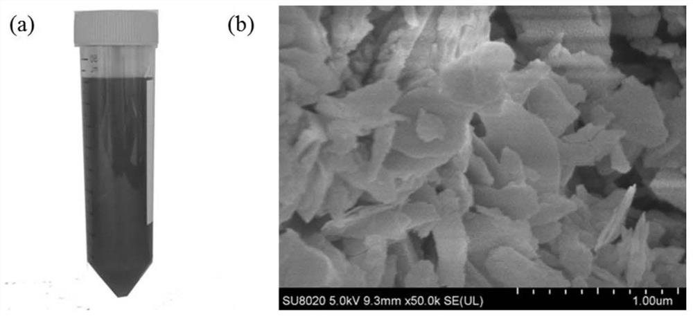 A kind of ultra-thin silicon nanosheet photocatalyst and its preparation method and application