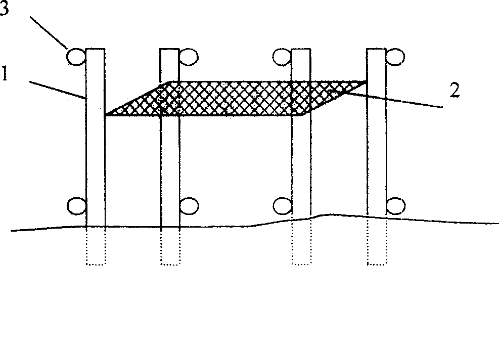 Method for planting submergent plant in lake