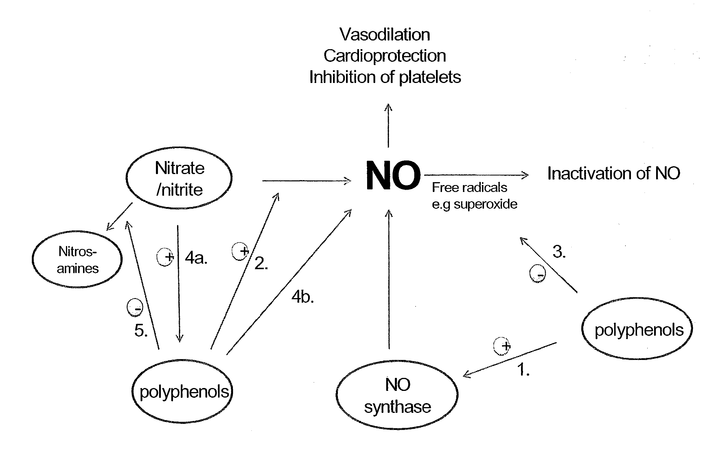 Use of nitrites and nitrates and compositions containing these