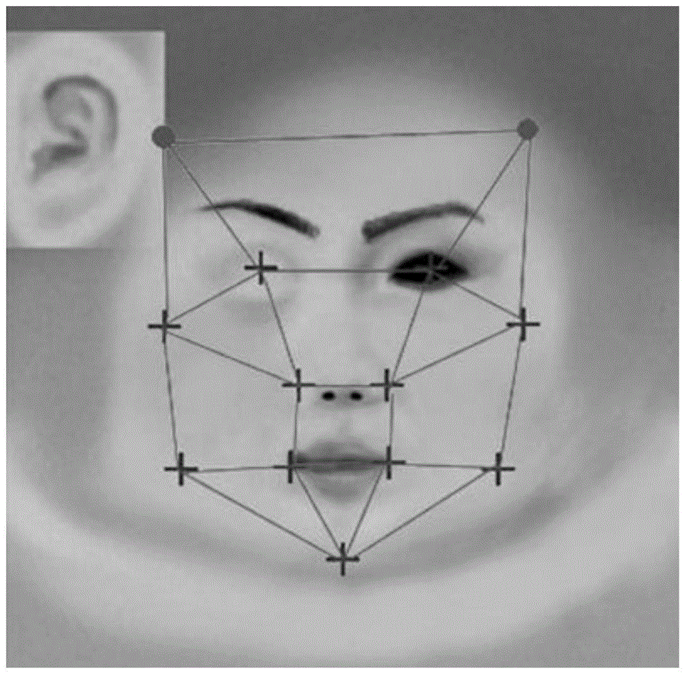 Realistic face generating method based on single photo