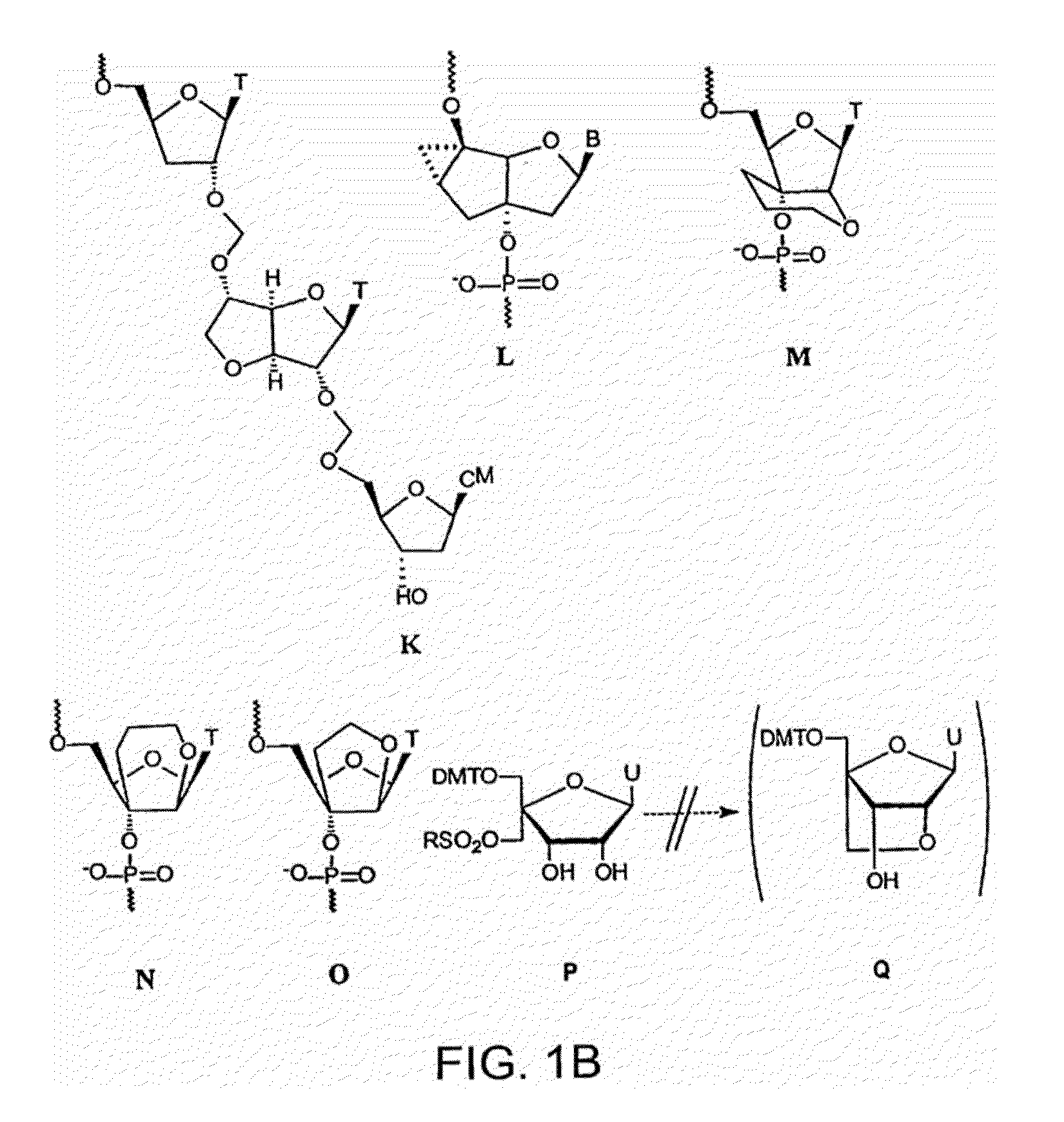 Oligonucleotide analogues