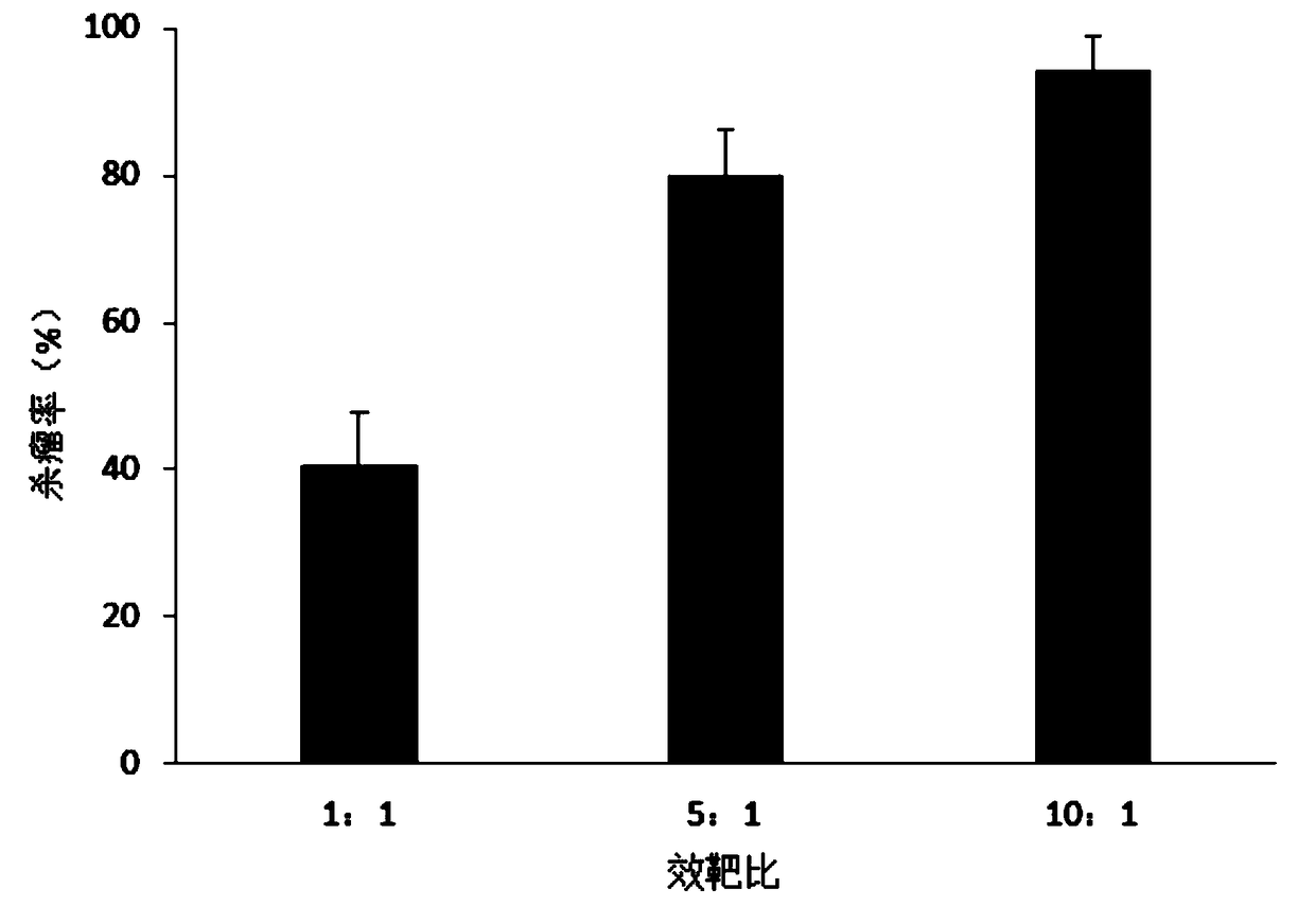 Natural killer cell culture substrate and natural killer cell expansion culture method