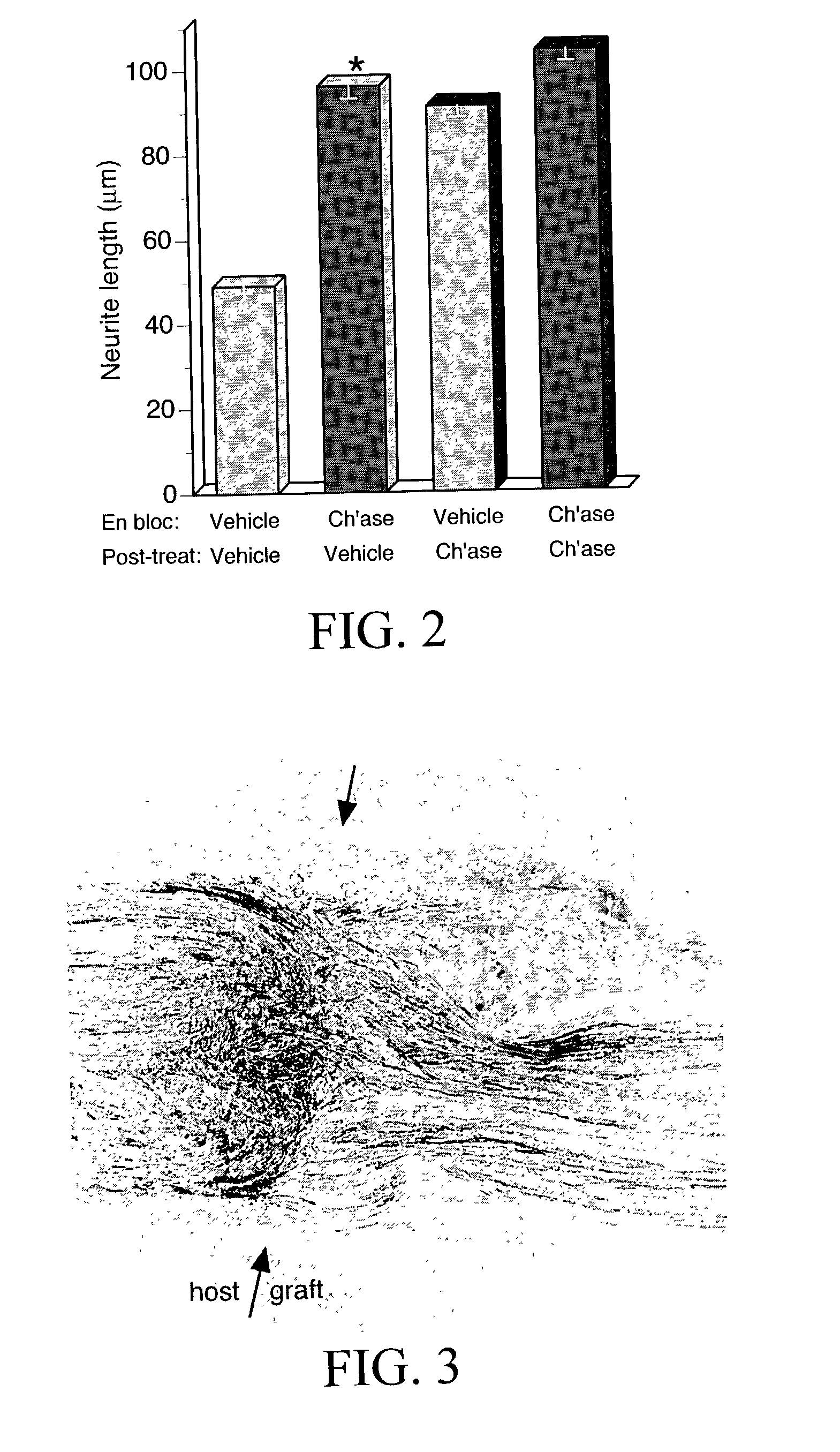 Materials and methods for nerve grafting, selection of nerve grafts, and in vitro nerve tissue culture