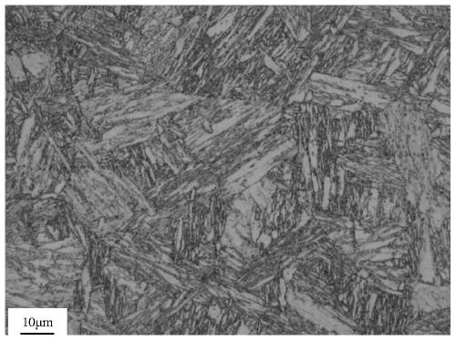 Ti microalloyed medium manganese steel plate for offshore platform and preparation method thereof