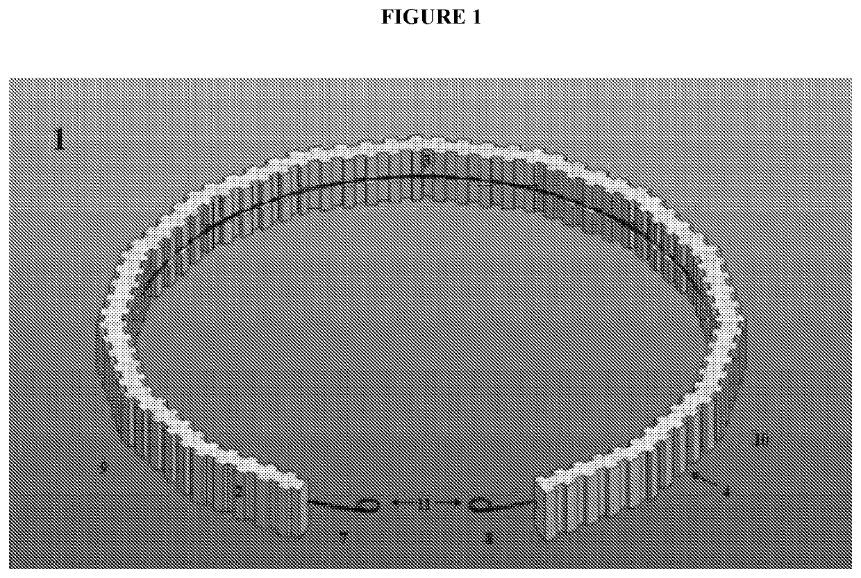 Devices and methods for stabilization of an ocular lens capsule and preventing artificial intraocular lens implant rotation post cataract surgery