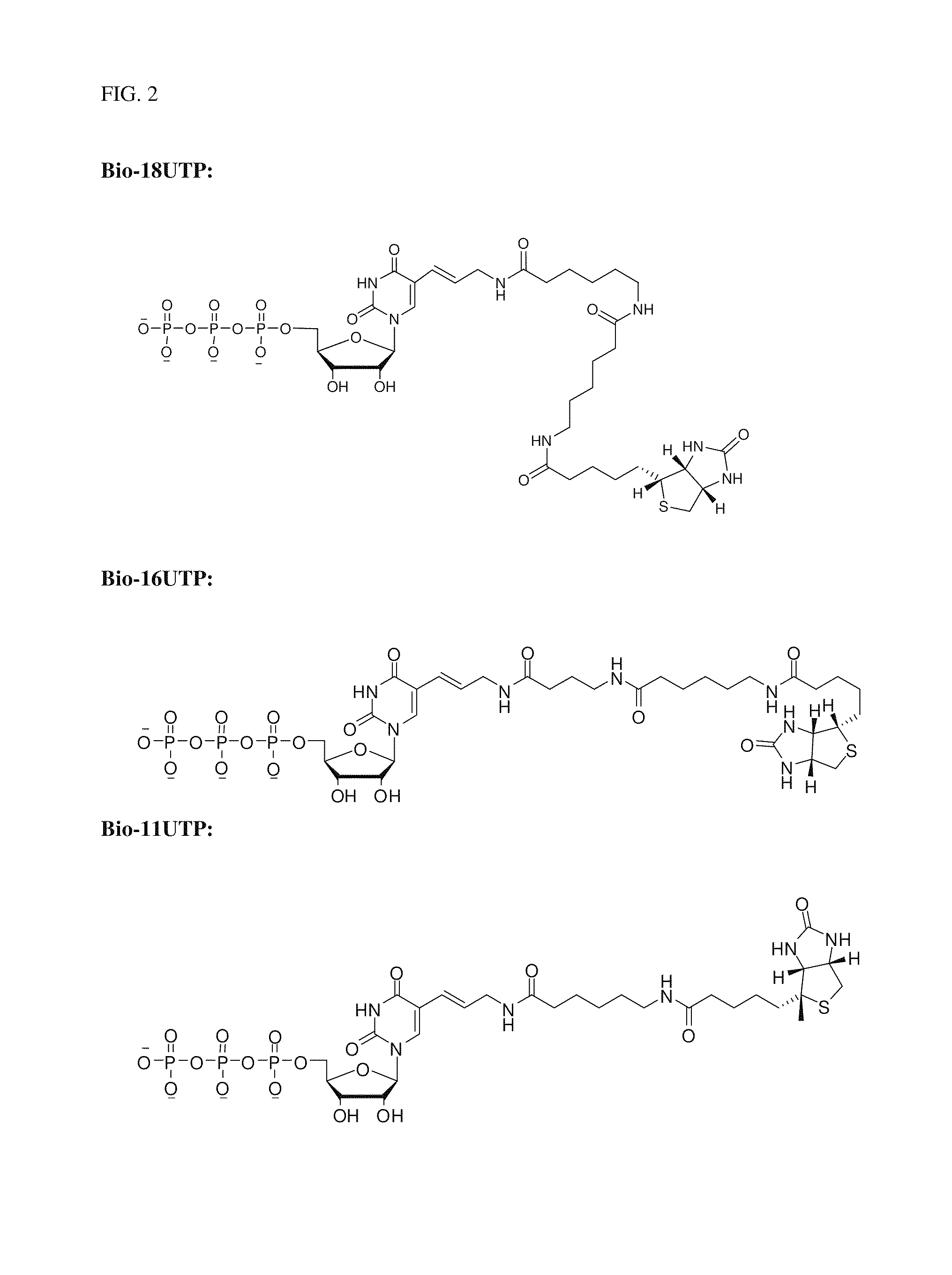 Preparation and isolation of 5′ capped mRNA