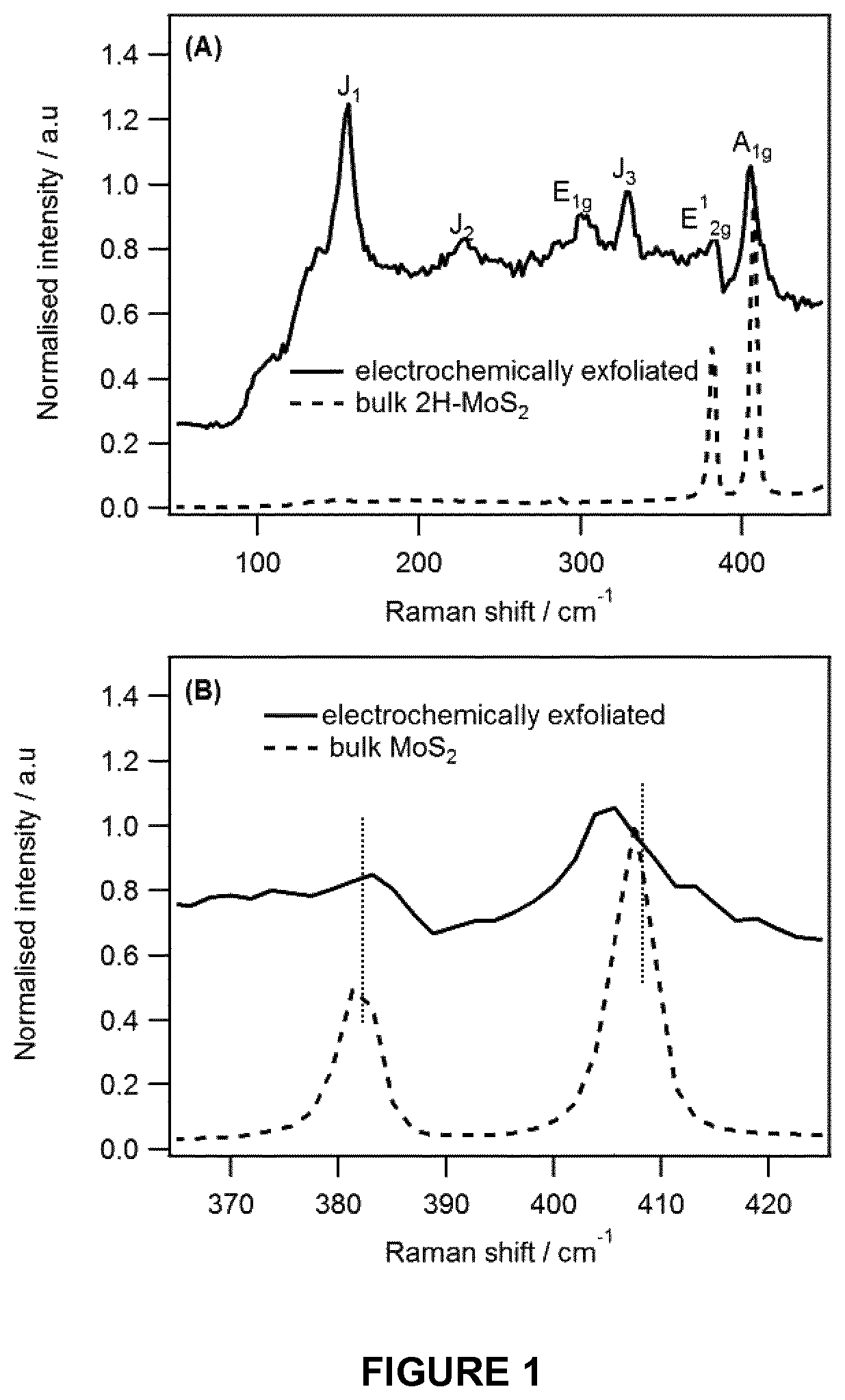 1T-phase transition metal dichalcogenide nanosheets