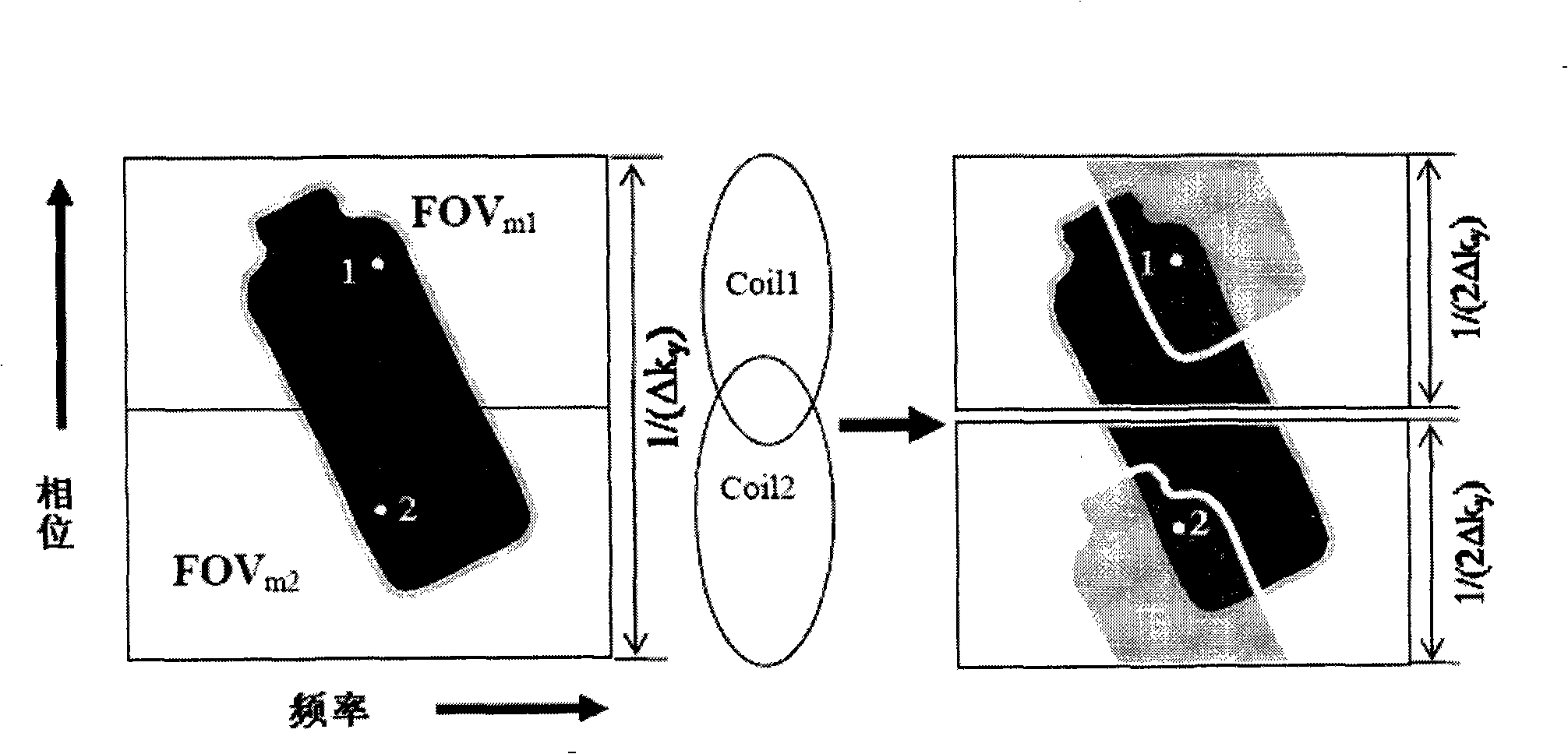 Parallel collection image reconstruction method and device