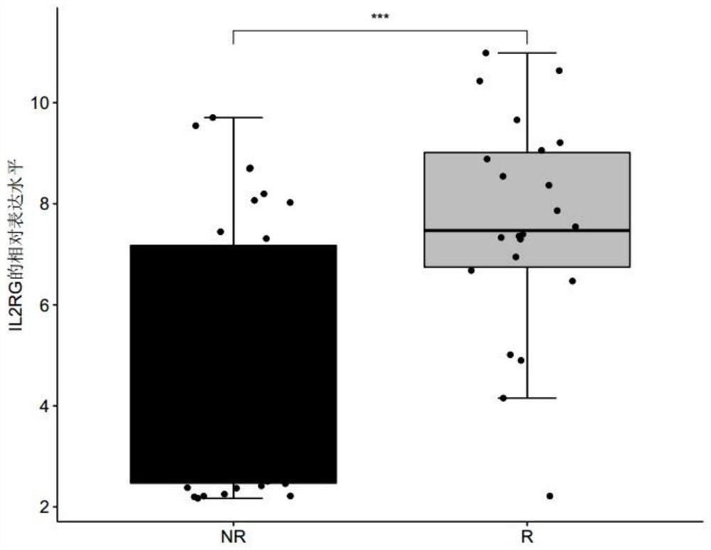 Product for predicting sensitivity of melanoma patient to MAGE-A3 immunotherapy