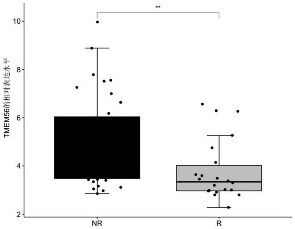 Product for predicting sensitivity of melanoma patient to MAGE-A3 immunotherapy