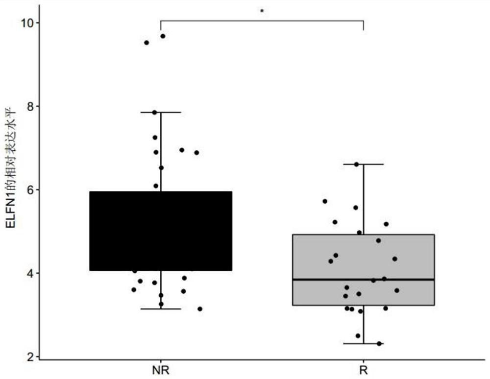 Product for predicting sensitivity of melanoma patient to MAGE-A3 immunotherapy