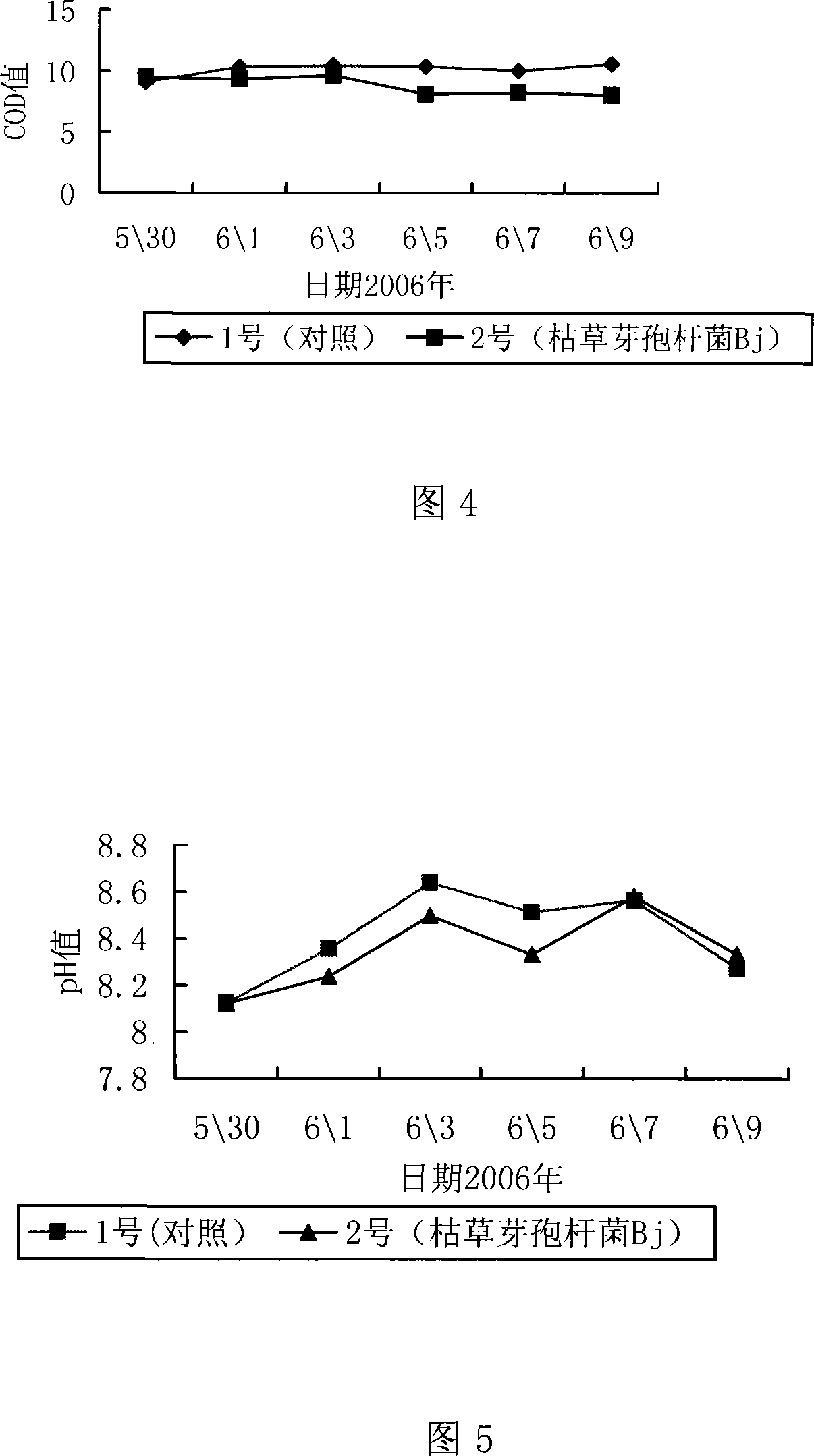 Microorganism preparation for purifying aquatic product cultivating water body and preparation method thereof