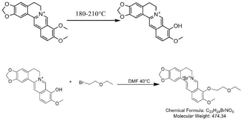 Synthesis method of 9-0-ethyl ether berberrubine and application of 9-0-ethyl ether berberrubine in preparation of antitumor drugs