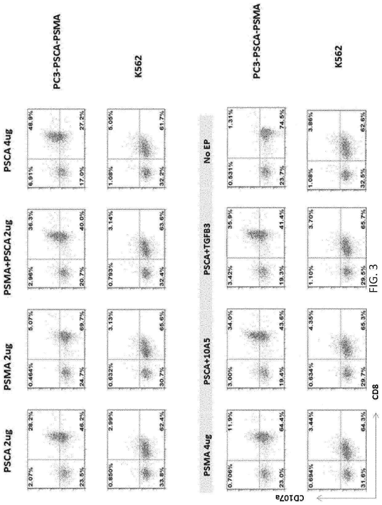 Compositions and Methods Comprising Prostate Stem Cell Antigen (PSCA) Chimeric Antigen Receptors (CARs)