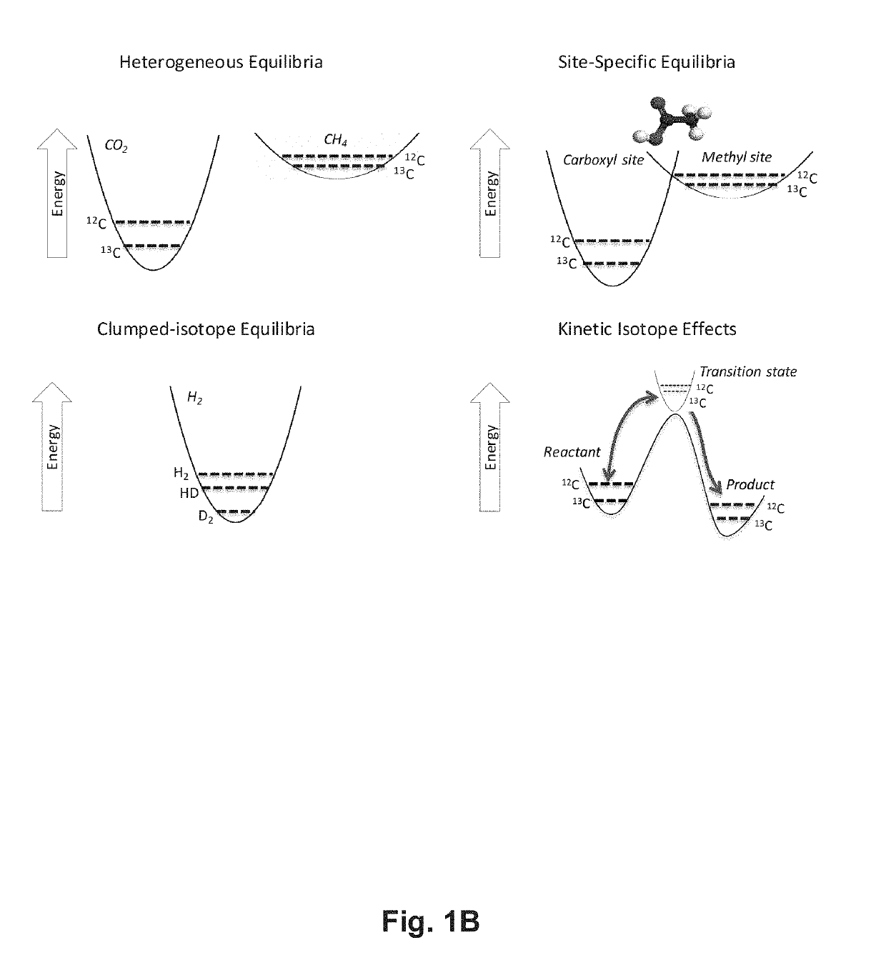 Systems and Methods for Predicting and Interpreting Comprehensive Molecular Isotopic Structures and Uses Thereof