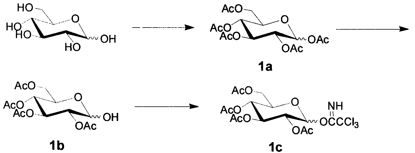 Simple synthetic method of plant immunoactivator core fragment glucose trisaccharide