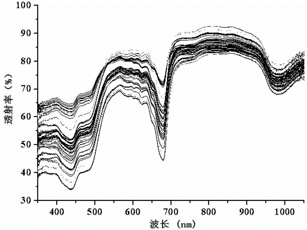 A method for simultaneous detection of chlorophyll content and biomass of Chlorella based on spectral technology