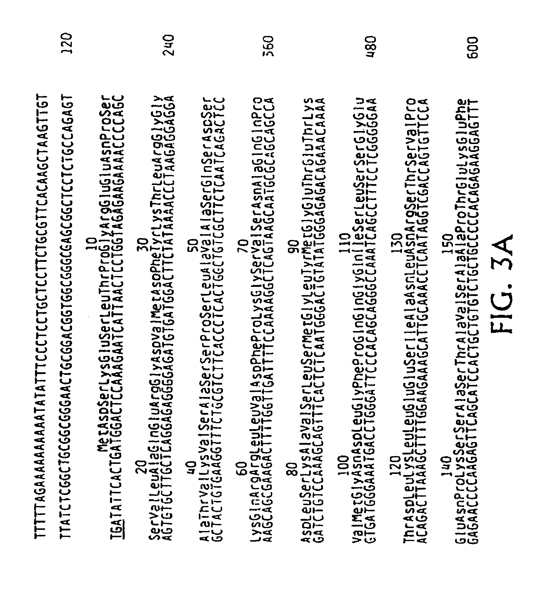 Hormone receptor compositions and methods