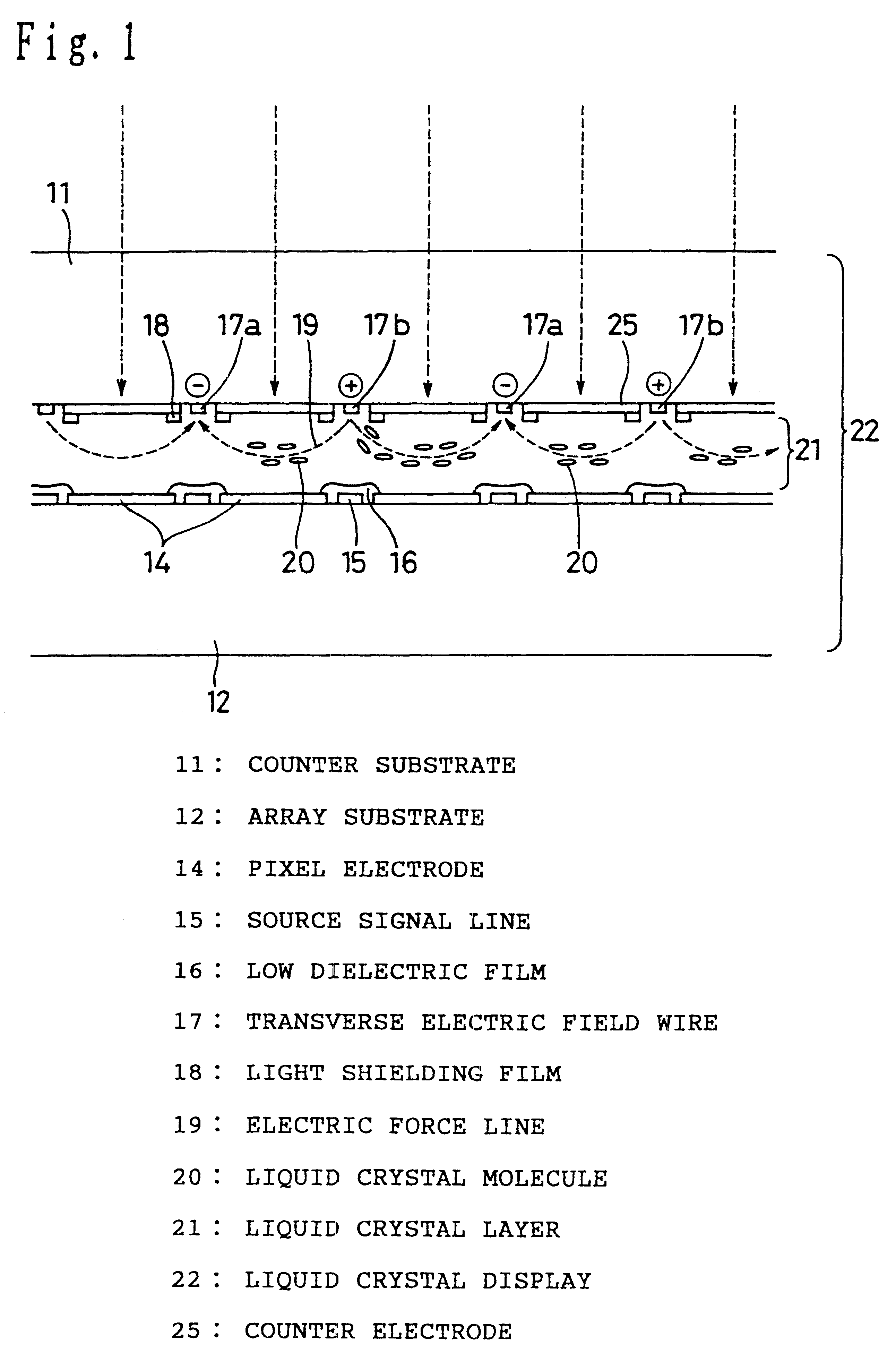 Liquid crystal display panel including a light shielding film to control incident light
